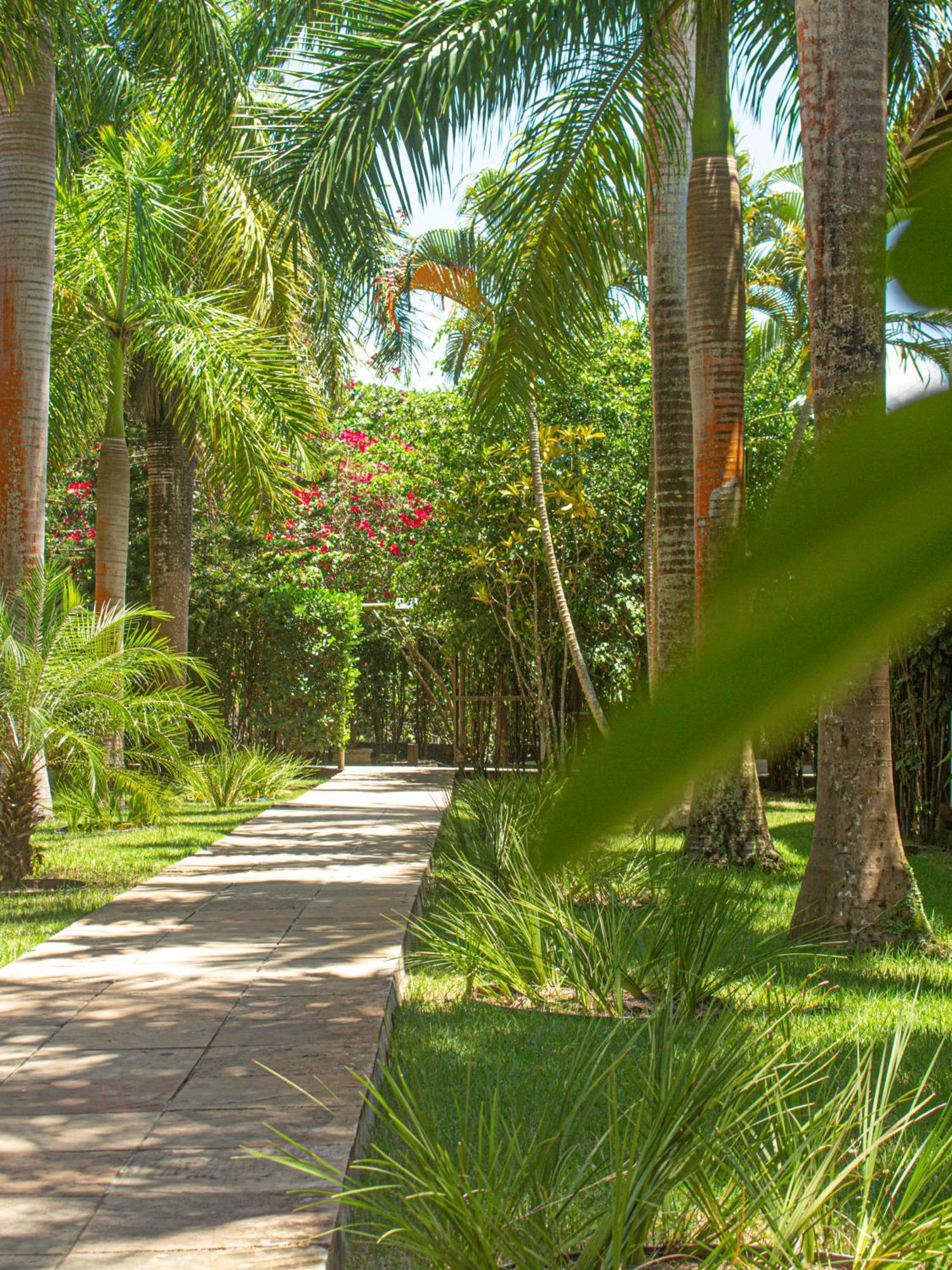 Sunshine Praia Hotel Porto Seguro Extérieur photo